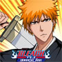 Bleach : immortal soul